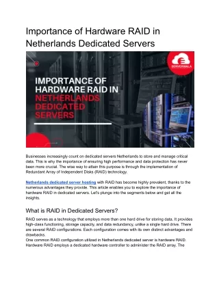 Importance of Hardware RAID in Netherlands Dedicated Servers