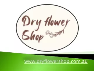 Wholesale Dry Flower(Palm medium) Supplies in Melbourne - Shop Now!