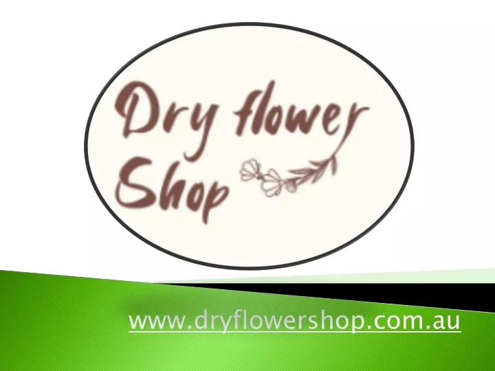 www dryflowershop com au