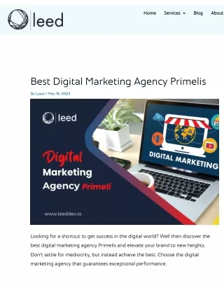 Best Digital Marketing Agency Primelis - leed