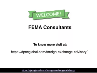 fema consultants