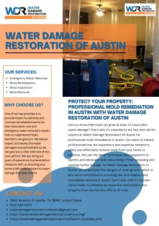 Protect Your Property: Professional Mold Remediation in Austin with Water Damage