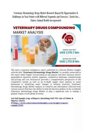 Veterinary Dermatology Drugs Market Research Report