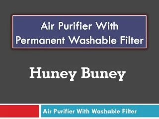 air purifier with permanent washable filter