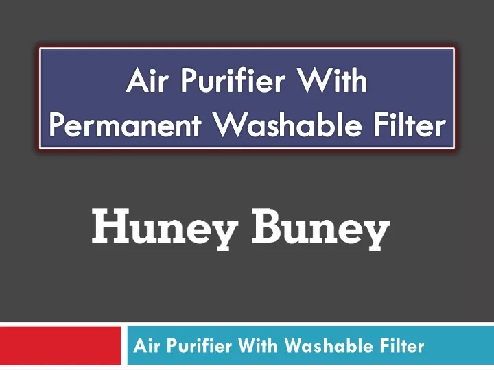 air purifier with permanent washable filter