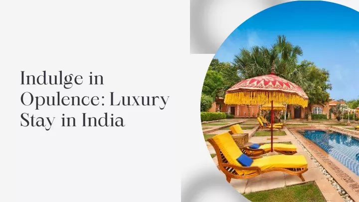 indulge in opulence luxury stay in india