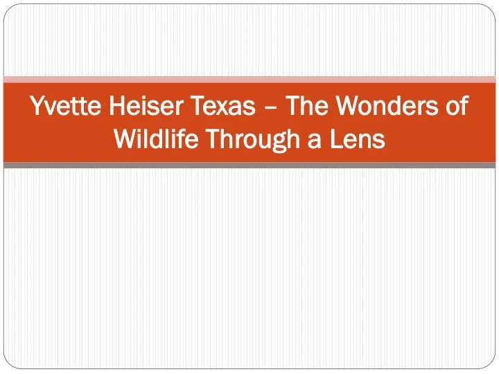 yvette heiser texas the wonders of wildlife through a lens