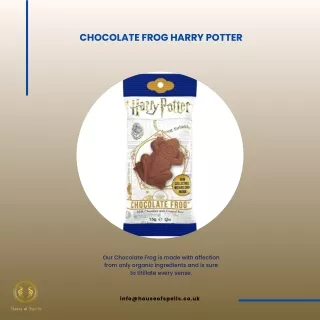 chocolate frog harry potter