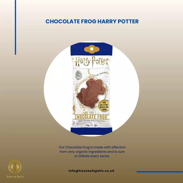 chocolate frog harry potter