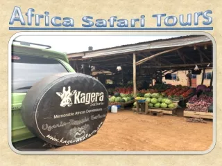 Africa Safari Tours