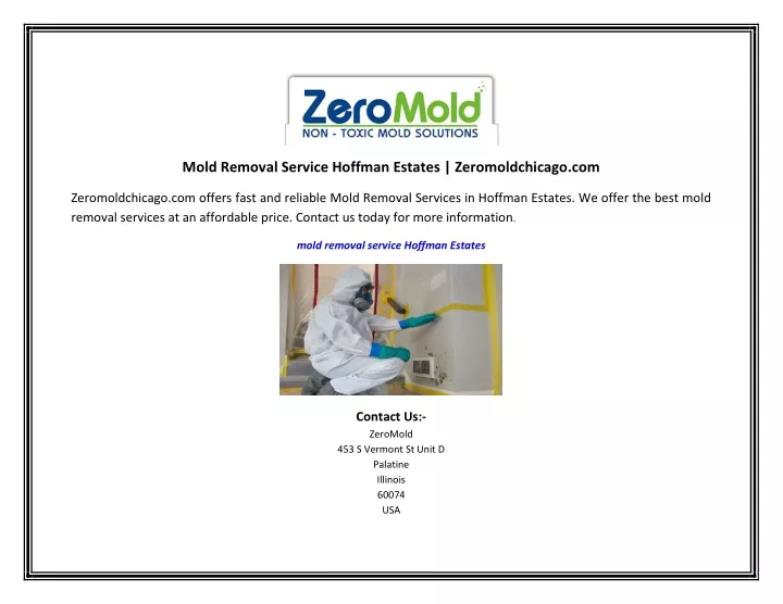 mold removal service hoffman estates