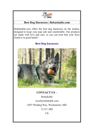 Best Dog Harnesses  Rebarkable.com