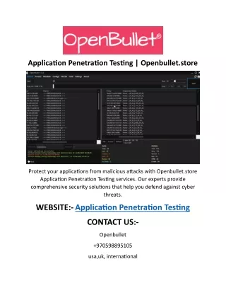 Application Penetration Testing  Openbullet.store 1 (1)