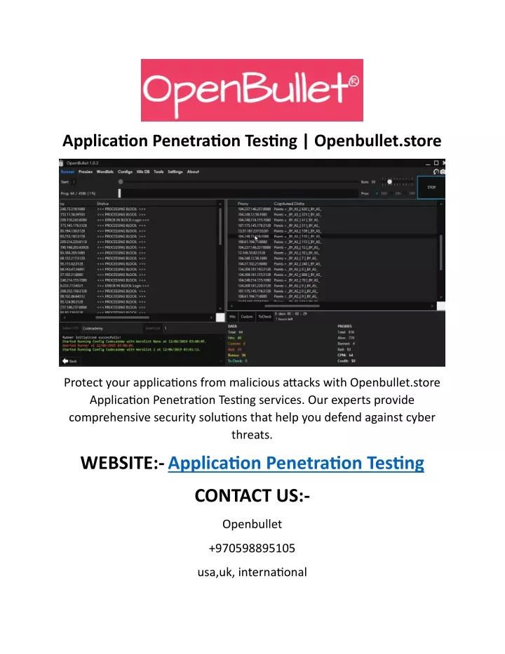 application penetration testing openbullet store
