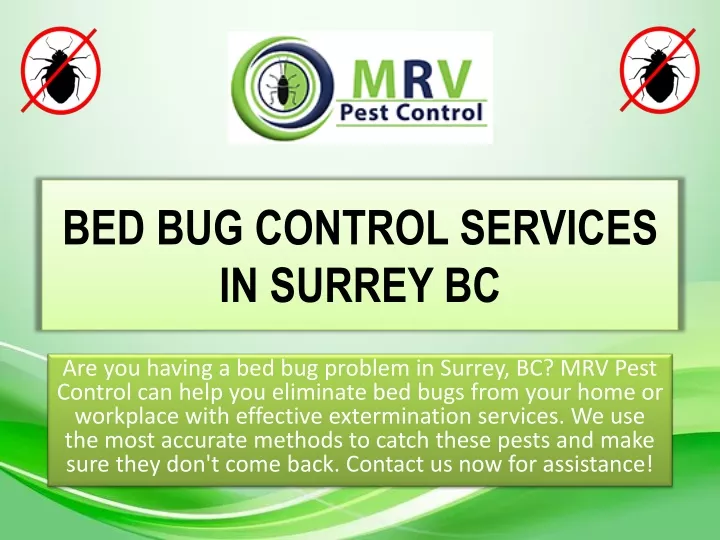 bed bug control services in surrey bc