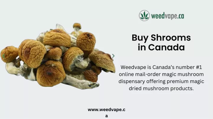 buy shrooms in canada