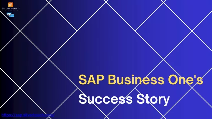 sap business one s success story