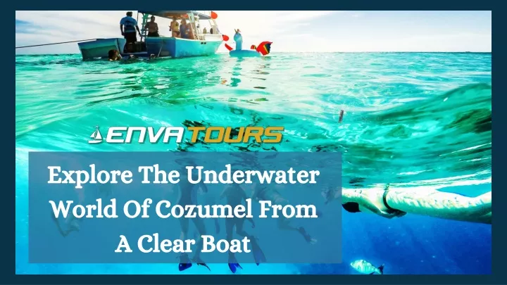 explore the underwater world of cozumel from