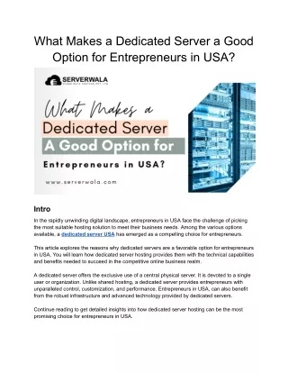 What Makes a Dedicated Server a Good Option for Entrepreneurs in USA?