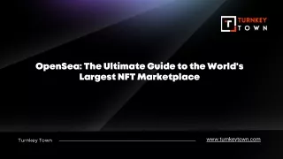 opensea the ultimate guide to the world s largest