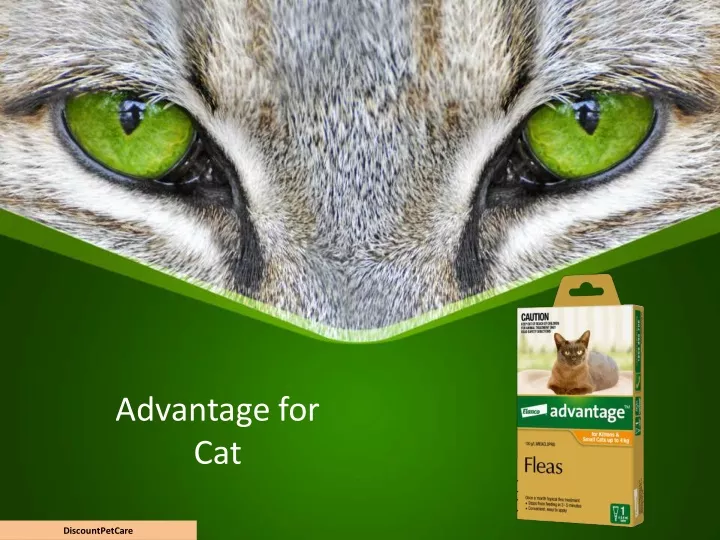 advantage for cat
