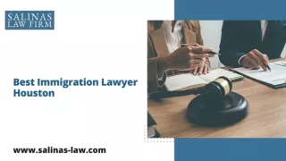 Best Immigration Lawyer Houston, Texas