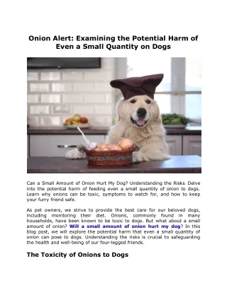 Onion Alert Examining the Potential Harm of Even a Small Quantity on Dogs