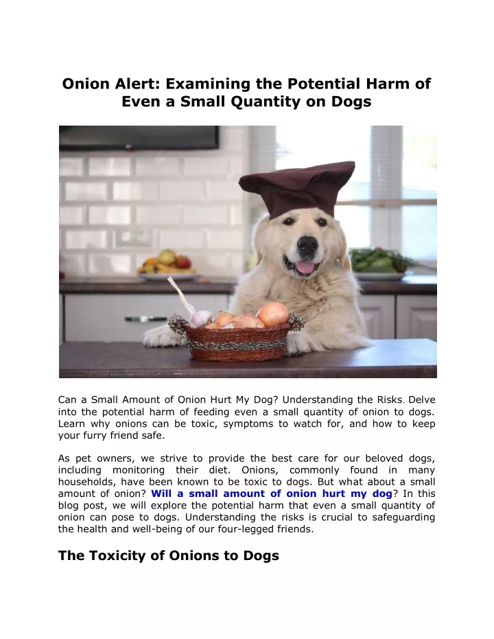 onion alert examining the potential harm of even
