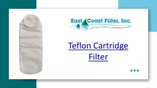 Teflon Cartridge Filter - East Coast Filter