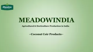 Introduction to Coconut Coir Products_ Nature's Sustainable Treasure