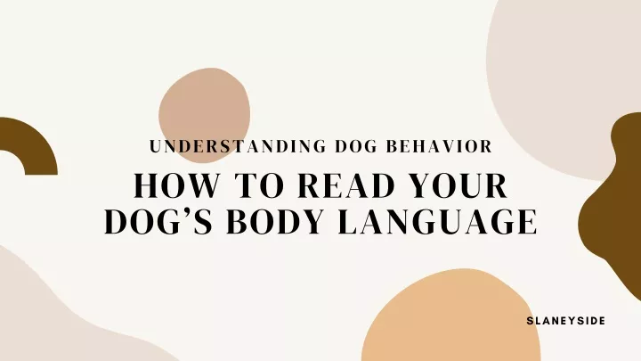 understanding dog behavior