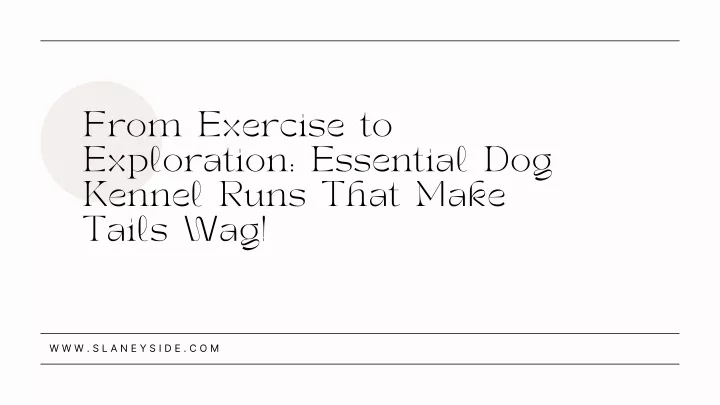 from exercise to exploration essential dog kennel