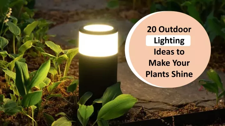 20 outdoor lighting ideas to make your plants