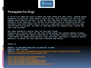 pineapples for dogs