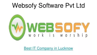 Best Software Development Company in Lucknow - Websofy Software Pvt Ltd