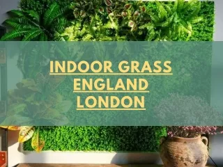 Indoor Grass England London