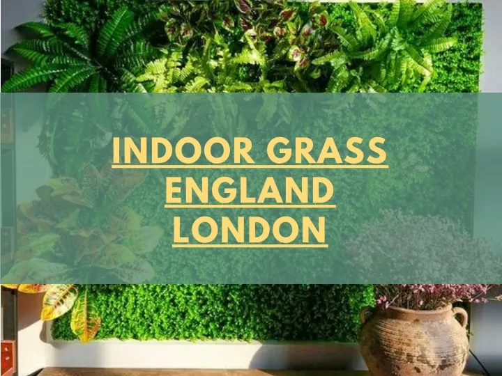 indoor grass england london