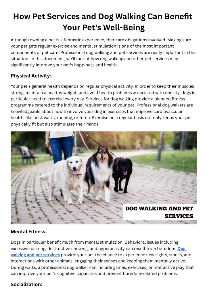 how pet services and dog walking can benefit your