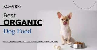 Want to buy the best organic dog food? Shop now at BaxterBoo