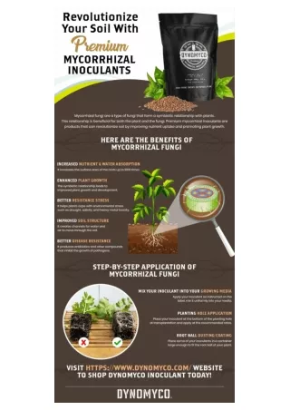 Revolutionize Your Soil With Premium Mycorrhizal Inoculants