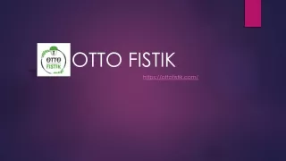 Otto Fistik