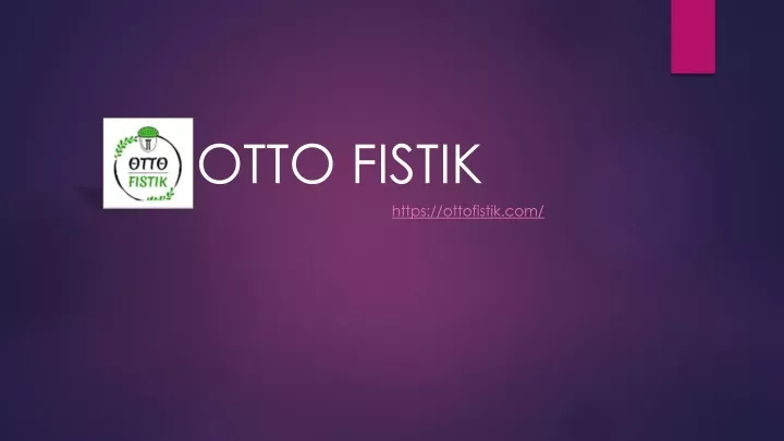 otto fistik