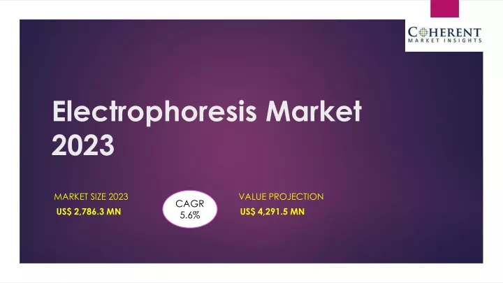 electrophoresis market 2023