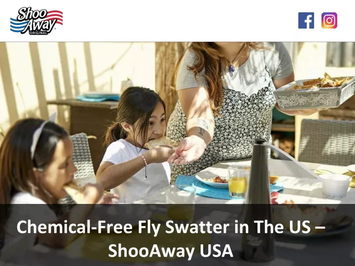 chemical free fly swatter in the us shooaway usa