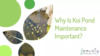 The Importance of Koi Pond Maintenance