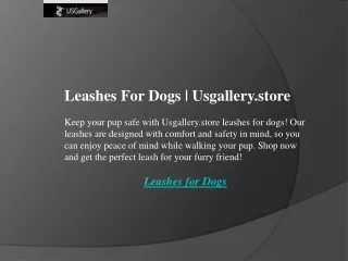 Leashes For Dogs  Usgallery.store