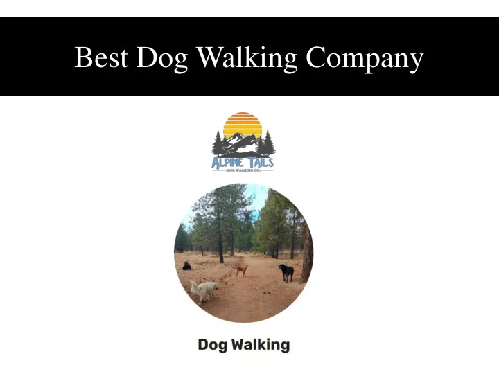 best dog walking company
