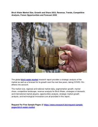 birch water market size growth and share 2023