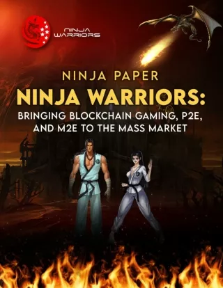 Ninja Warriors Meta White Paper