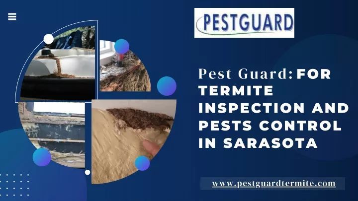 pest guard for termite inspection and pests